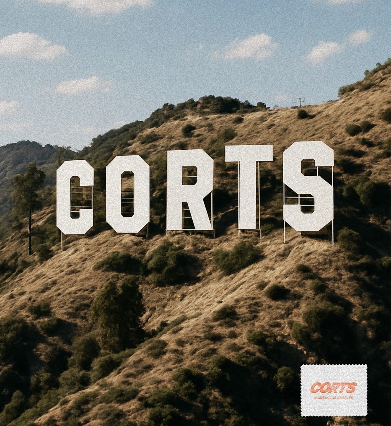 DESIGNED IN LOS ANGELES